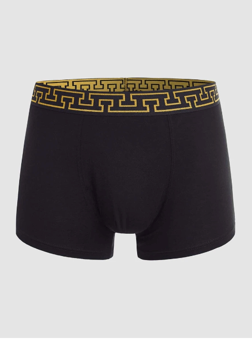 Goldlack Boxer