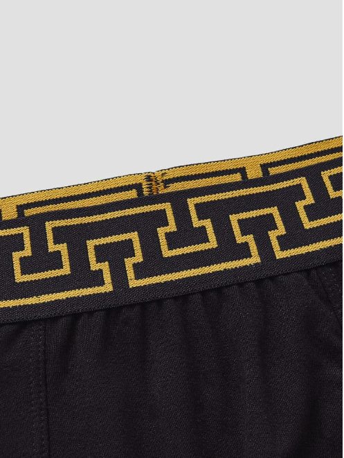 Goldlack Boxer
